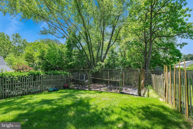 view of yard