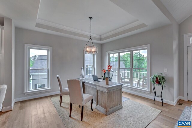 39 Renee Ln, Charlottesville, VA 22901 - office space featuring a wealth of natural light, light wood finished floors, and a raised ceiling