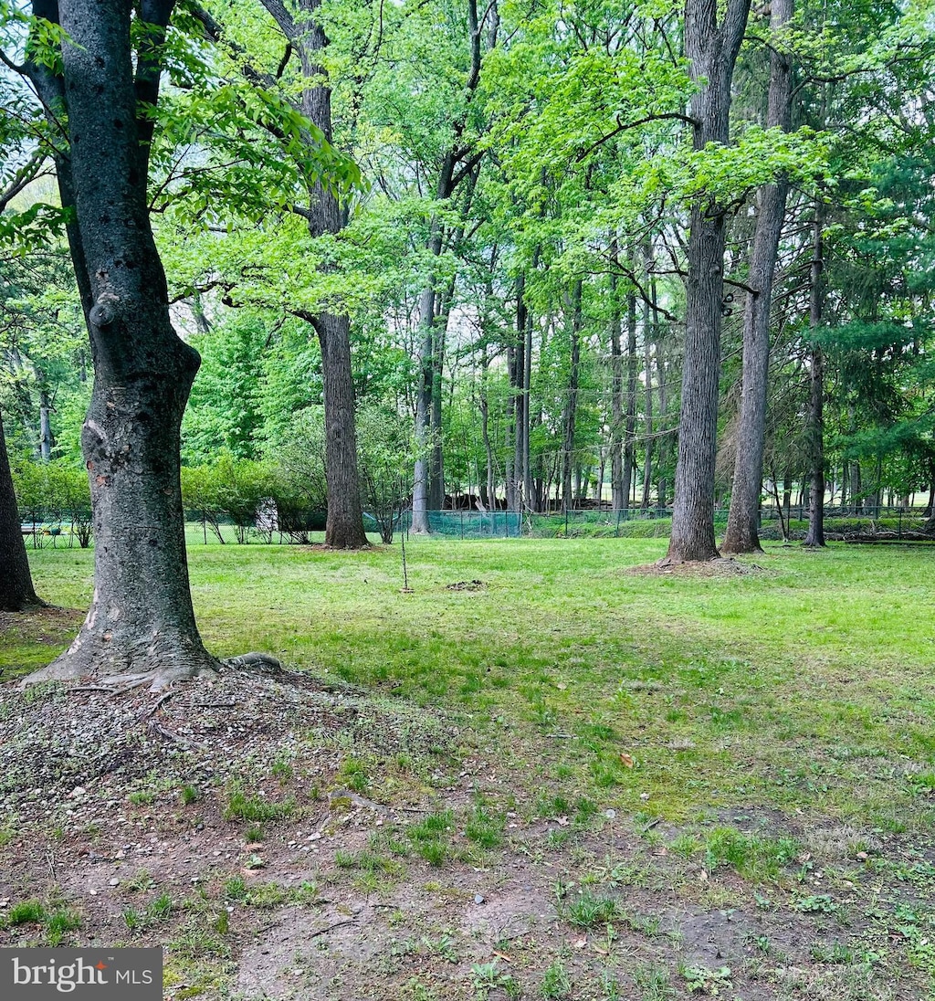 view of grassy yard