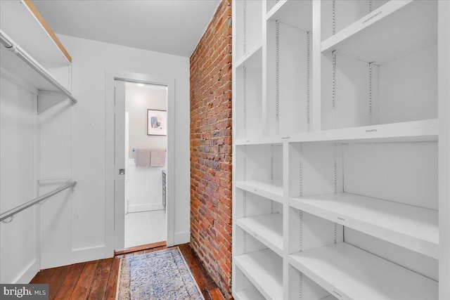 spacious closet featuring dark wood finished floors