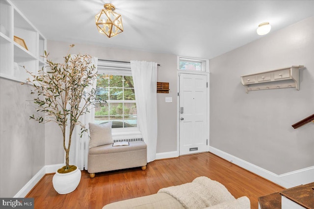 entrance foyer with baseboards and wood finished floors