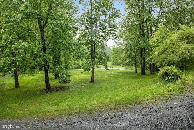 61 Brent Point Rd, Stafford, VA 22554 - view of nature