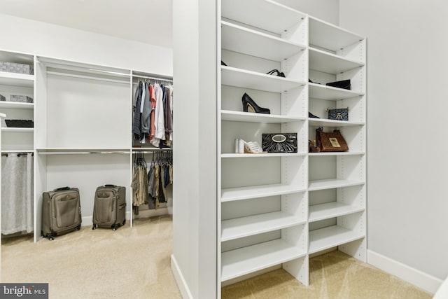 40999 Waxwing Dr, Leesburg, VA 20175 - walk in closet featuring carpet