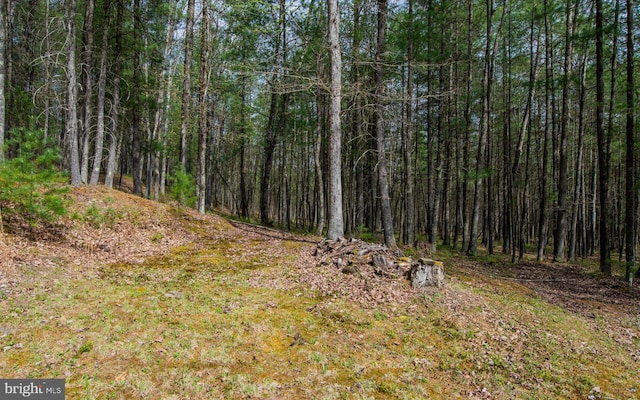 220 Gillens Rd, Mill Hall, PA 17751 - view of tree filled area