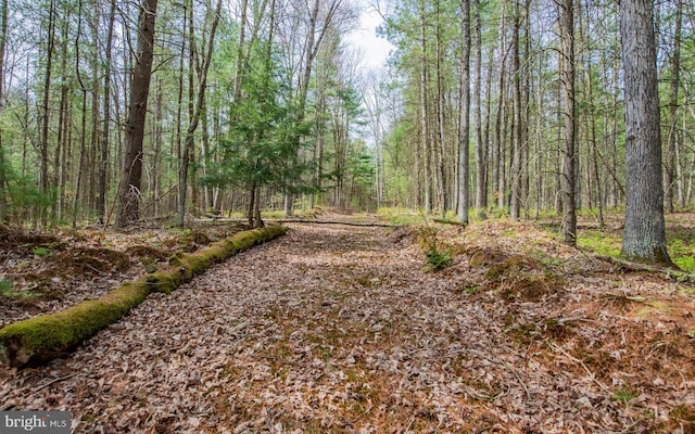 220 Gillens Rd, Mill Hall, PA 17751 - view of road with a forest view