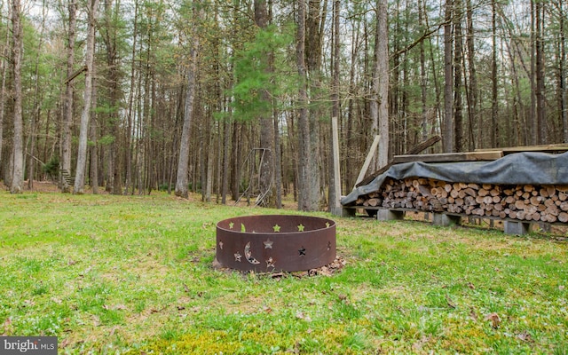 220 Gillens Rd, Mill Hall, PA 17751 - view of green lawn with a view of trees