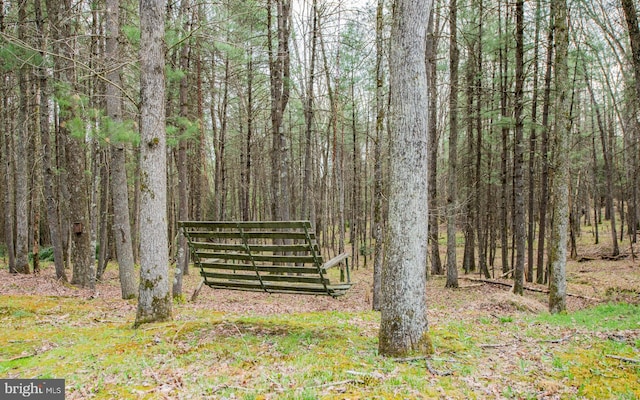 220 Gillens Rd, Mill Hall, PA 17751 - view of community with a view of trees