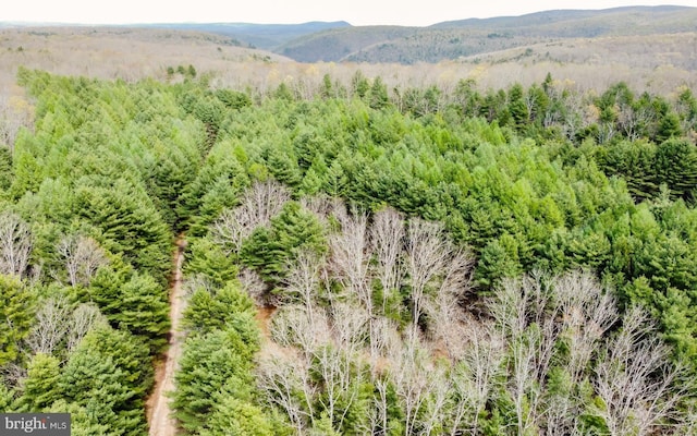 220 Gillens Rd, Mill Hall, PA 17751 - aerial view of a heavily wooded area and a mountainous background