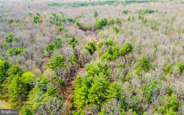 220 Gillens Rd, Mill Hall, PA 17751 - aerial view of a heavily wooded area