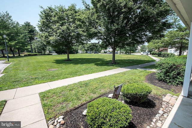 4801 Vesper Cir, Palmyra, NJ 08065 - view of grassy yard