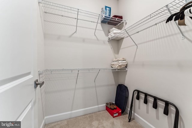 803 Rexford Way, Upper Marlboro, MD 20774 - spacious closet featuring carpet