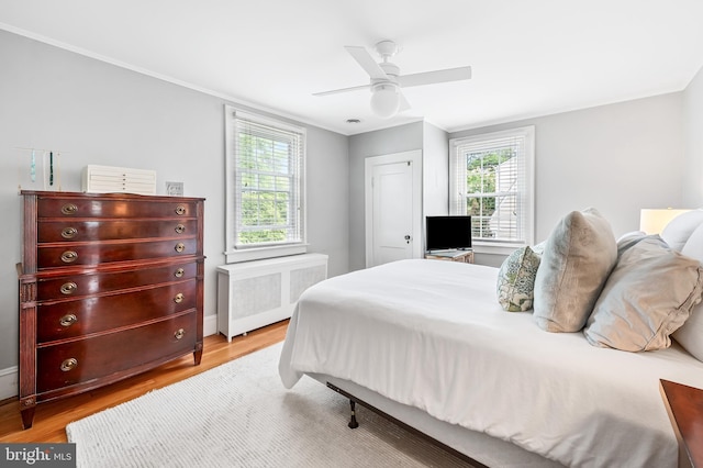 533 Park Ave, Towson, MD 21204 - bedroom featuring radiator, light wood-type flooring, multiple windows, and a ceiling fan