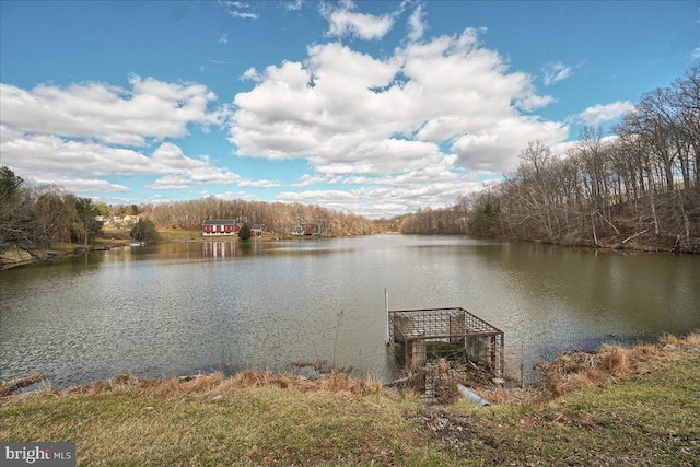 10732 Lamoka Ln, New Market, MD 21774 - water view