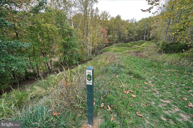 10732 Lamoka Ln, New Market, MD 21774 - view of road with a forest view