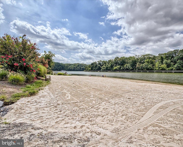 10732 Lamoka Ln, New Market, MD 21774 - water view with a forest