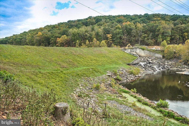 10732 Lamoka Ln, New Market, MD 21774 - view of yard with a forest view