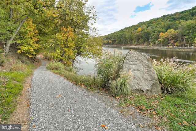 10732 Lamoka Ln, New Market, MD 21774 - water view featuring a forest