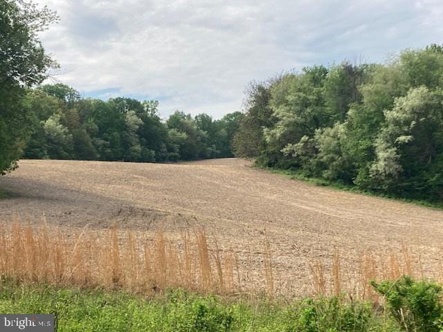 view of nature