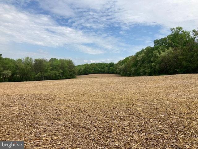 view of woods