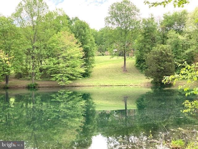 view of nature with a nearby body of water