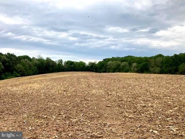 view of wooded area