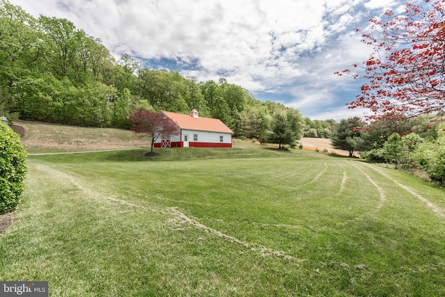 view of grassy yard