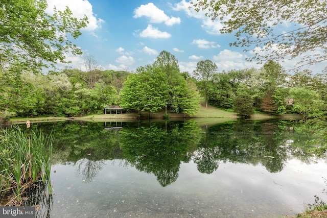 water view with a forest