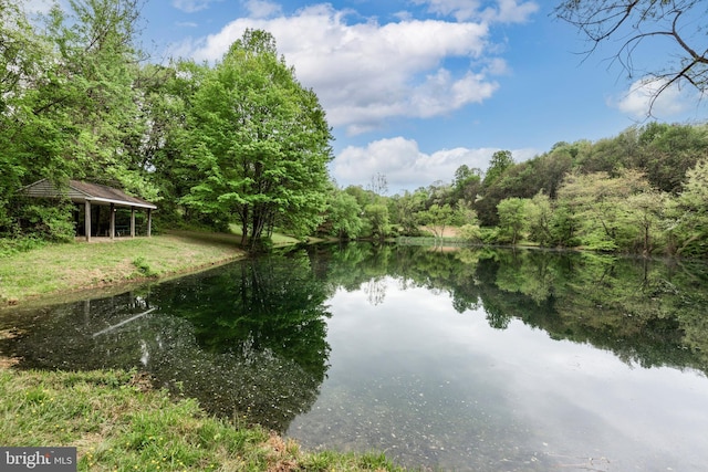 water view featuring a heavily wooded area