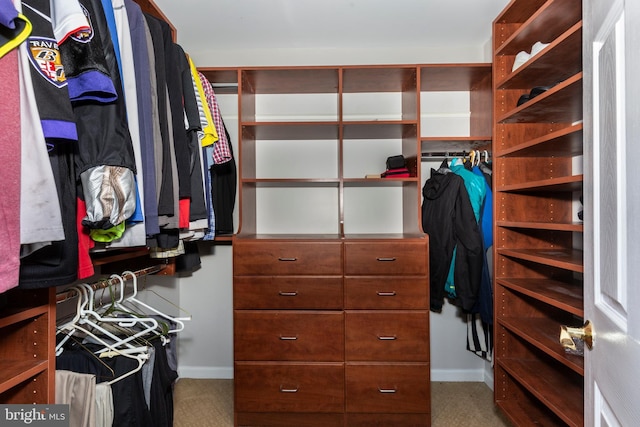 spacious closet with carpet flooring