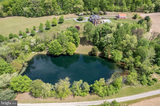 bird's eye view of a nearby body of water
