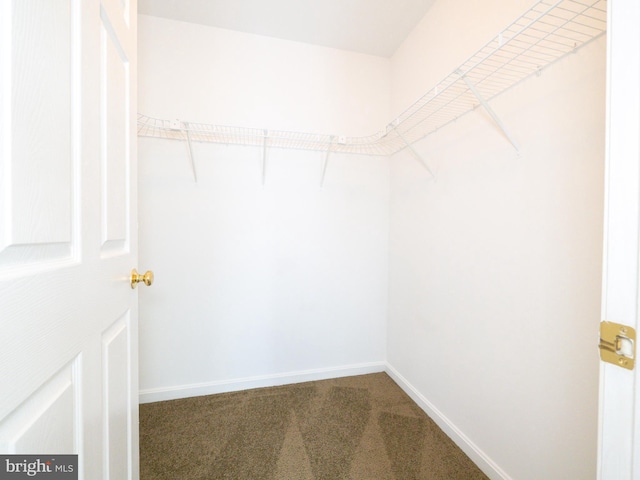 73 Marblehead Rd, Inwood, WV 25428 - spacious closet with carpet floors