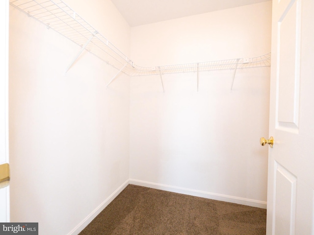 73 Marblehead Rd, Inwood, WV 25428 - spacious closet with dark colored carpet