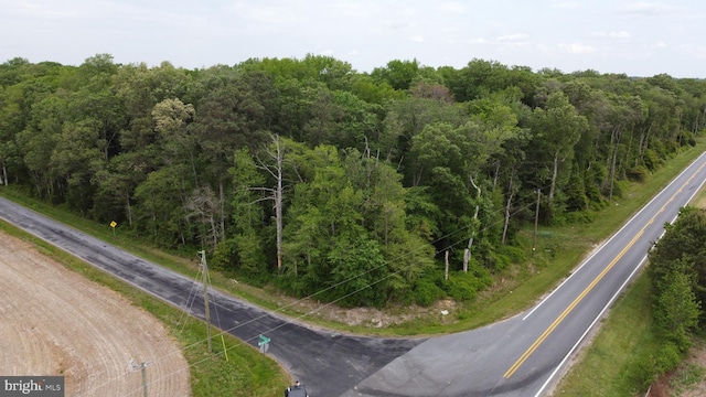 LOT18 Burnite Mill Rd, Felton, DE 19943