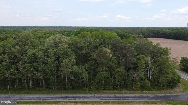 LOT18 Burnite Mill Rd, Felton, DE 19943