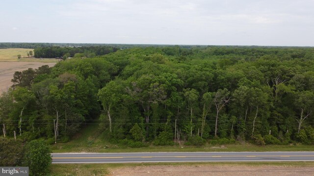 LOT18 Burnite Mill Rd, Felton, DE 19943