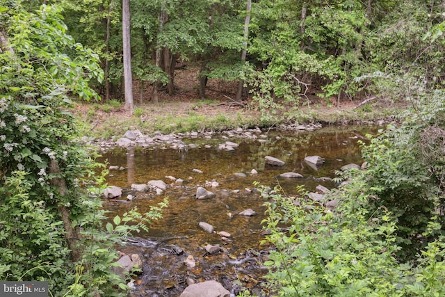 view of local wilderness