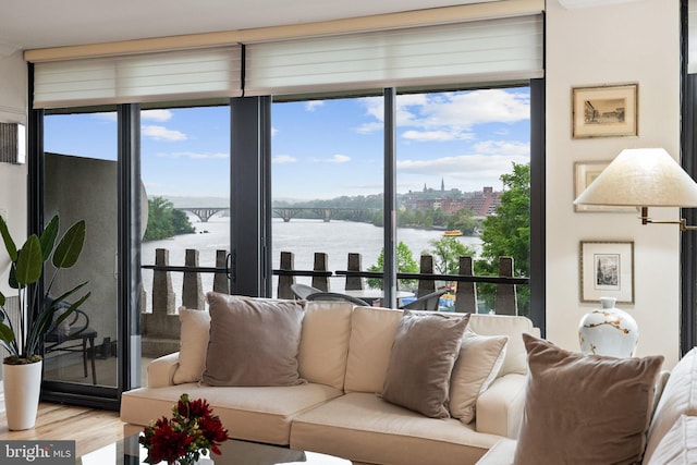 700 New Hampshire Ave NW Unit 507, Washington, DC 20037 - living room featuring a water view, wood finished floors, and a wall of windows