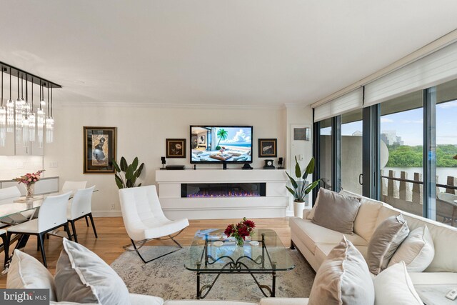 700 New Hampshire Ave NW Unit 507, Washington, DC 20037 - living room with wood finished floors, crown molding, a glass covered fireplace, and baseboards