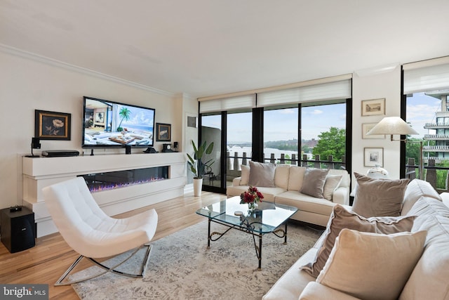700 New Hampshire Ave NW Unit 507, Washington, DC 20037 - living area with light wood finished floors, crown molding, a glass covered fireplace, and expansive windows