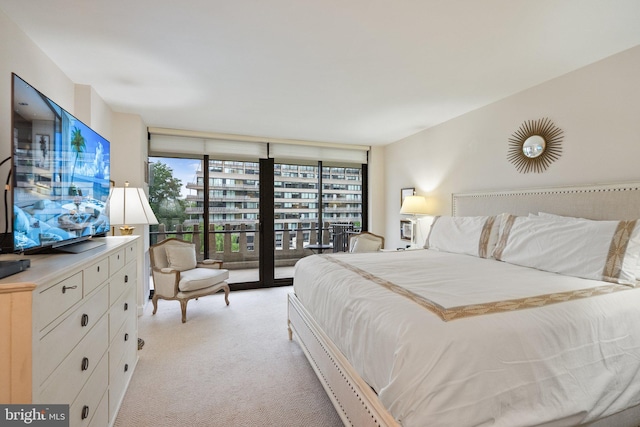 700 New Hampshire Ave NW Unit 507, Washington, DC 20037 - bedroom featuring light colored carpet, expansive windows, and access to outside
