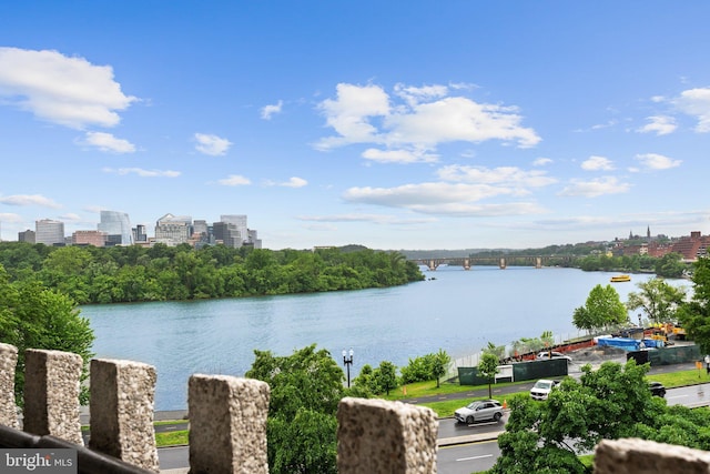 700 New Hampshire Ave NW Unit 507, Washington, DC 20037 - water view featuring a view of skyline