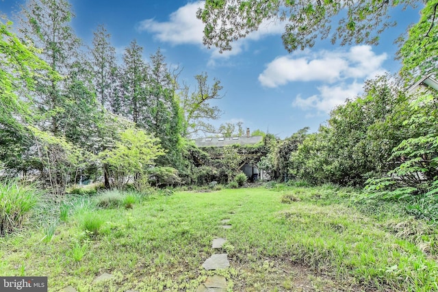 7017 Woodland Ave, Takoma Park, MD 20912 - view of yard