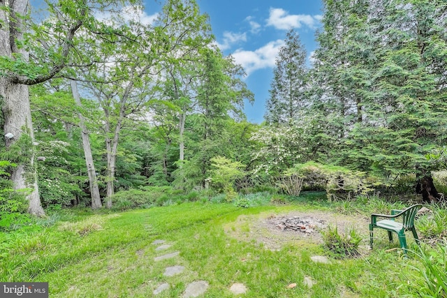 7017 Woodland Ave, Takoma Park, MD 20912 - view of yard with a forest view