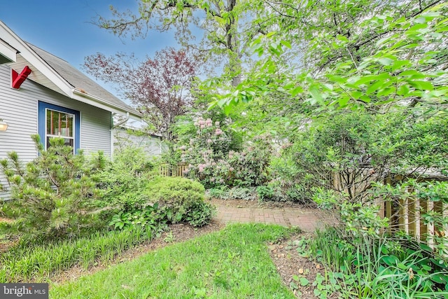 7017 Woodland Ave, Takoma Park, MD 20912 - view of yard