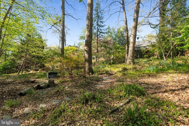7017 Woodland Ave, Takoma Park, MD 20912 - view of nature