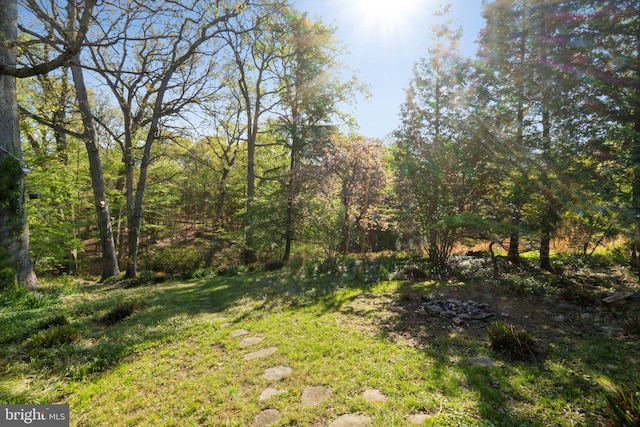 7017 Woodland Ave, Takoma Park, MD 20912 - view of yard