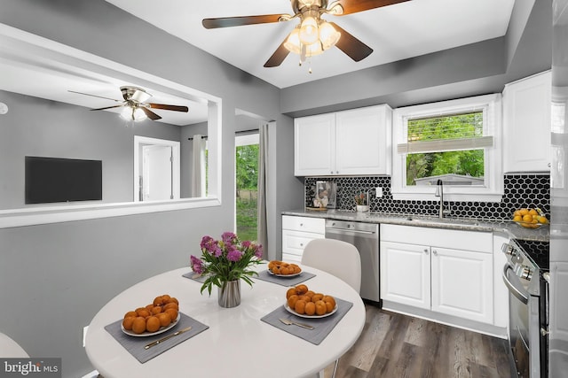 kitchen with a sink, appliances with stainless steel finishes, plenty of natural light, and ceiling fan