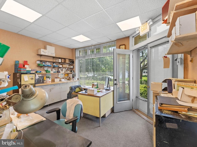 carpeted office with a drop ceiling