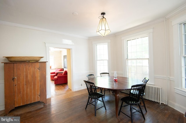 116 Oakley St, Cambridge, MD 21613 - dining area with wood finished floors, ornamental molding, and radiator heating unit