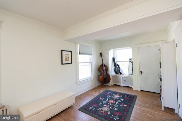 116 Oakley St, Cambridge, MD 21613 - entryway with radiator heating unit, hardwood / wood-style floors, plenty of natural light, and ornamental molding